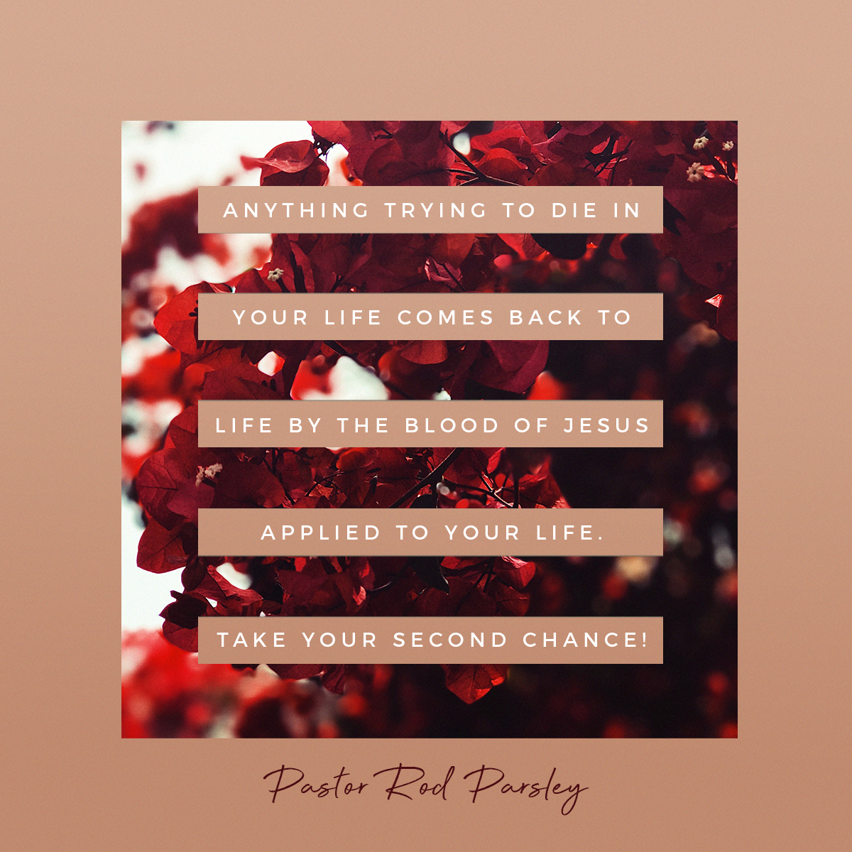 “Anything trying to die in your life comes back to life by the blood of Jesus applied to your life.  Take your second chance!” – Mrs. Joni Parsley
