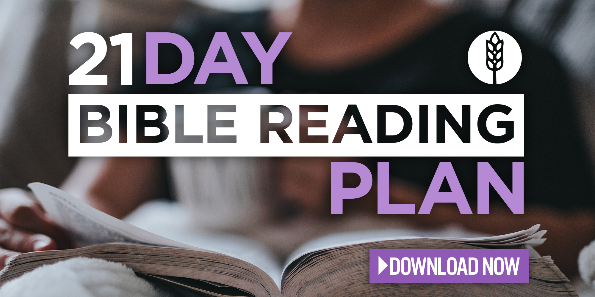 21 Day Bible Reading Plan Download Now
