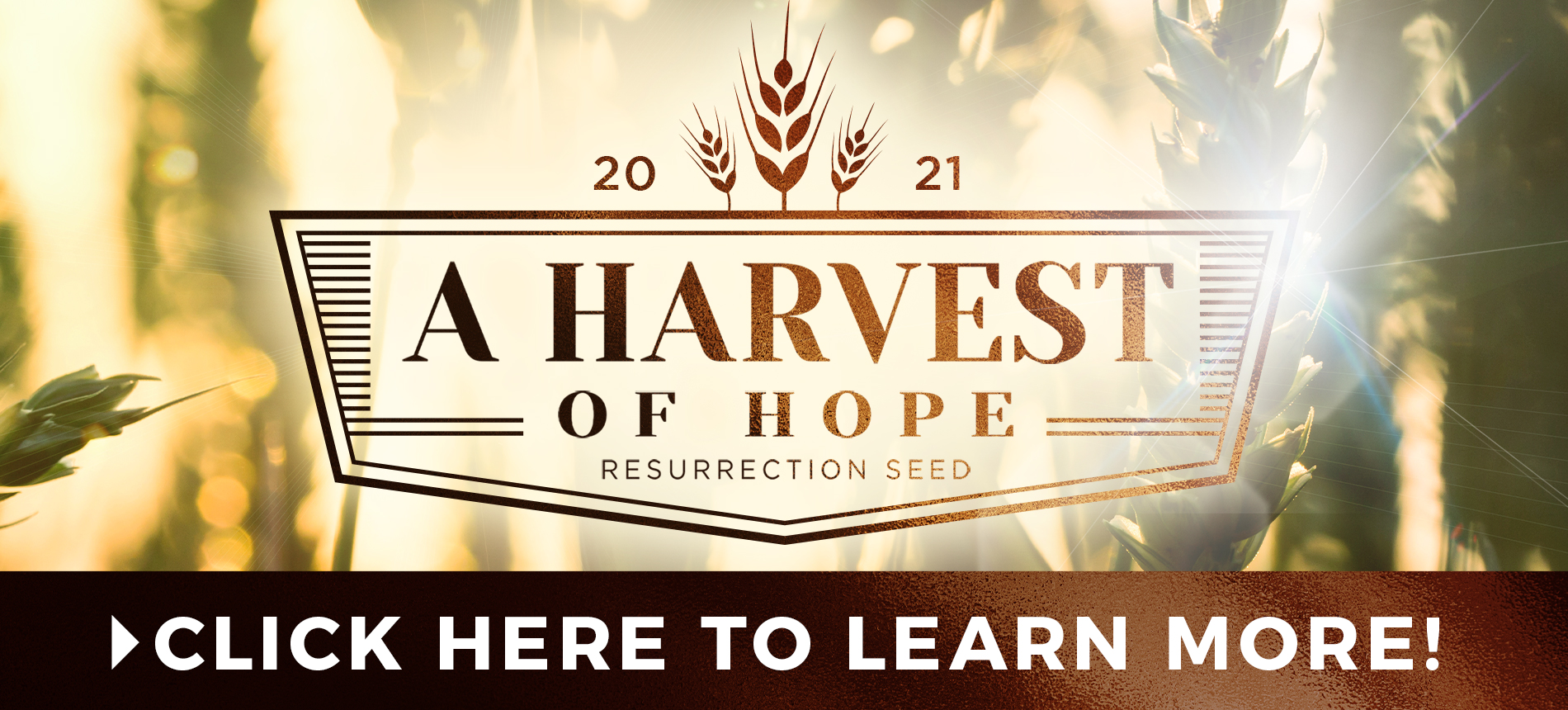 2021 A Harvest of Hope Resurrection Seed