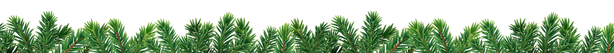 Bottom header - Christmas Wreath